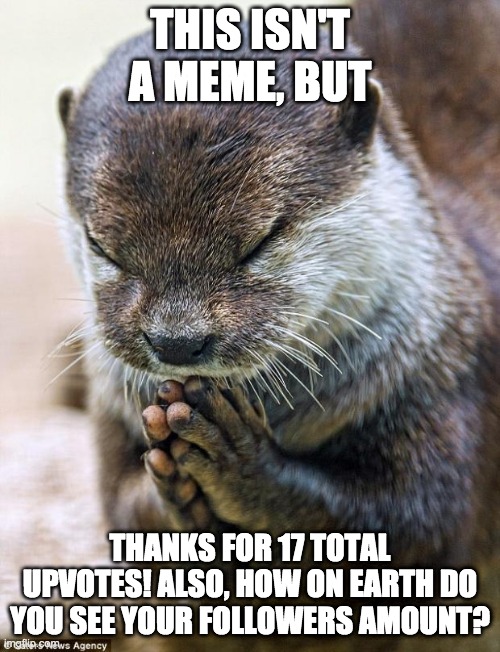 Thank you Lord Otter | THIS ISN'T A MEME, BUT; THANKS FOR 17 TOTAL UPVOTES! ALSO, HOW ON EARTH DO YOU SEE YOUR FOLLOWERS AMOUNT? | image tagged in thank you lord otter | made w/ Imgflip meme maker