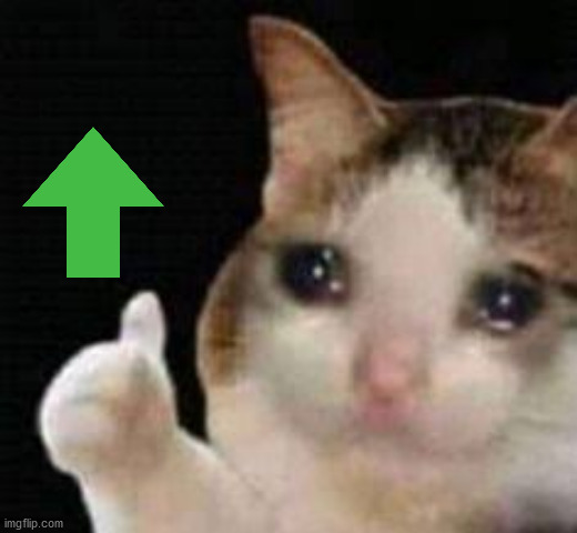 Approved crying cat | image tagged in approved crying cat | made w/ Imgflip meme maker