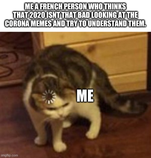 Corona | ME A FRENCH PERSON WHO THINKS THAT 2020 ISNT THAT BAD LOOKING AT THE CORONA MEMES AND TRY TO UNDERSTAND THEM. ME | image tagged in loading cat,coronavirus meme | made w/ Imgflip meme maker