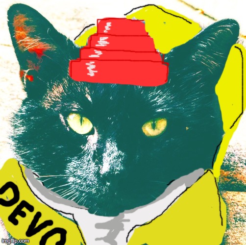 Devo Cat | image tagged in scaredy cat,devo,music,classic,2020,red hat | made w/ Imgflip meme maker