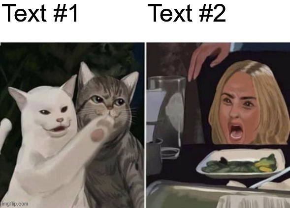 Cat yelling at woman | Text #1; Text #2 | image tagged in cat yelling at woman | made w/ Imgflip meme maker