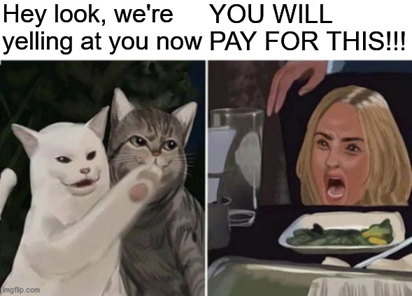 Crossover | Hey look, we're yelling at you now; YOU WILL PAY FOR THIS!!! | image tagged in cat yelling at woman | made w/ Imgflip meme maker