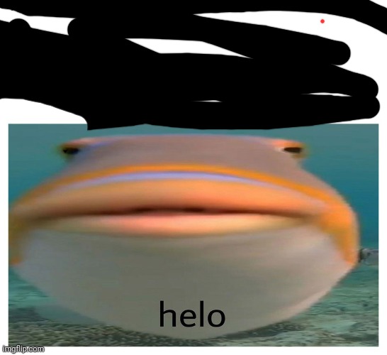 helo fish | image tagged in helo fish | made w/ Imgflip meme maker