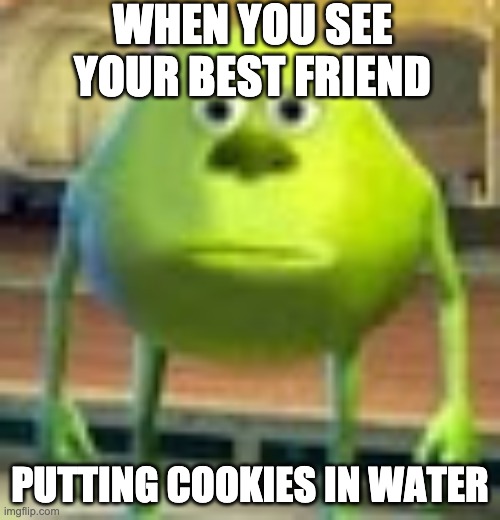Sully Wazowski | WHEN YOU SEE YOUR BEST FRIEND; PUTTING COOKIES IN WATER | image tagged in sully wazowski | made w/ Imgflip meme maker