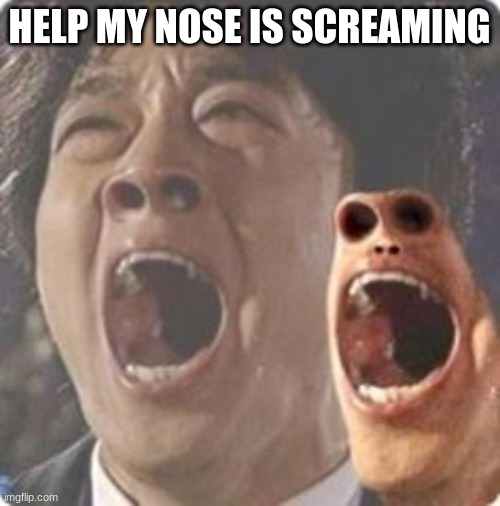 aaaaaaaaaaaaaaaaaaaaaaaaaaaaaaaaaaaaaaaaaaaaaaaaaa | HELP MY NOSE IS SCREAMING | image tagged in aaaaaaaaaaaaaaaaaaaaaaaaaaaaaaaaaaaaaaaaaaaaaaaaaa | made w/ Imgflip meme maker