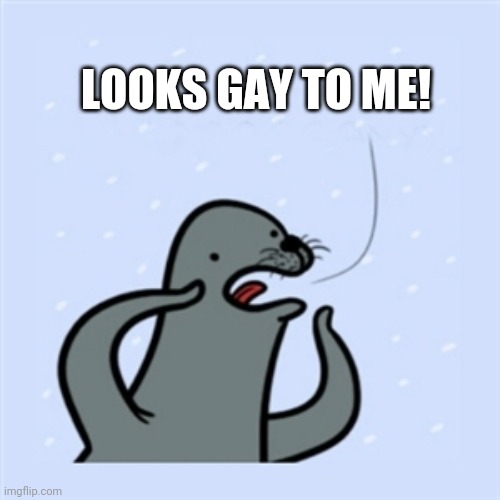 gay seal | LOOKS GAY TO ME! | image tagged in gay seal | made w/ Imgflip meme maker