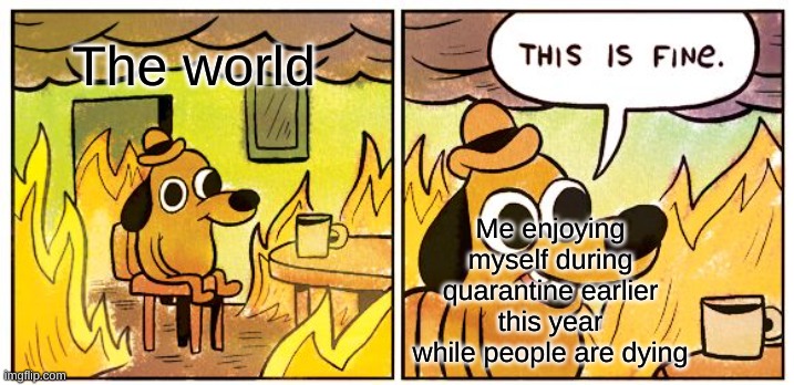 Fun | The world; Me enjoying myself during quarantine earlier this year while people are dying | image tagged in memes,this is fine | made w/ Imgflip meme maker