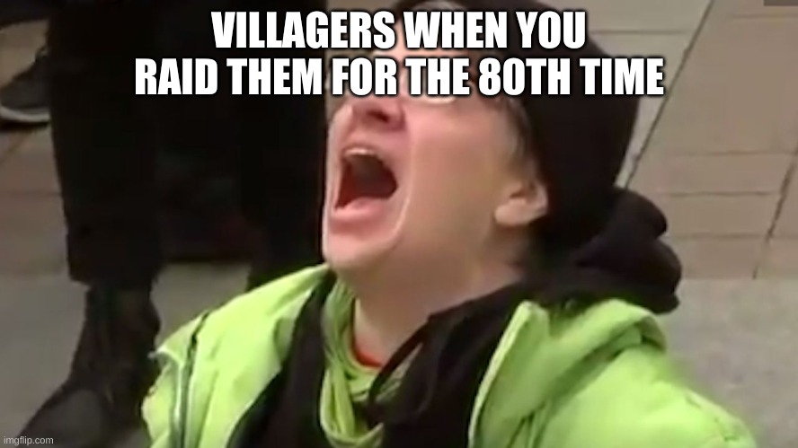 Screaming Liberal  | VILLAGERS WHEN YOU RAID THEM FOR THE 80TH TIME | image tagged in screaming liberal | made w/ Imgflip meme maker