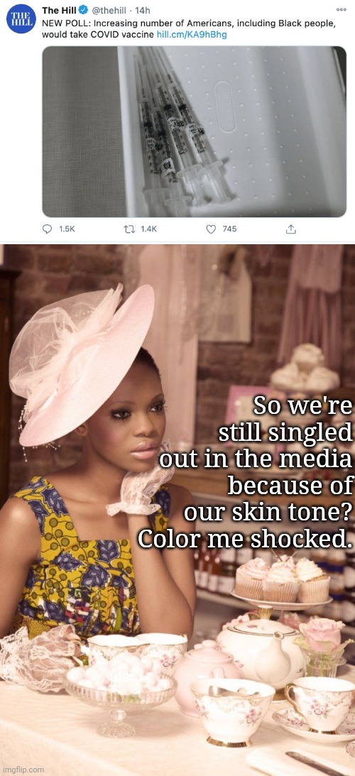 Hey, fellow n3gr0s, we're still not just Americans! | So we're still singled out in the media because of our skin tone? Color me shocked. | image tagged in black woman having tea,the hill,msm,racism,leftist media,bigotry | made w/ Imgflip meme maker