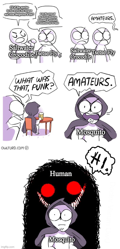 4 Deadliest creatures ranked. | Of all the species in the world, the largest and most dangerous is me!! I am the cause of the African Sleeping Sickness! If untreated, the condition can be fatal. Saltwater Crocodile; Tsetse Fly; Tsetse Fly; Saltwater Crocodile; Mosquito; Human; Mosquito | image tagged in amateurs extended,human,crocodile,fly,mosquito,monster | made w/ Imgflip meme maker