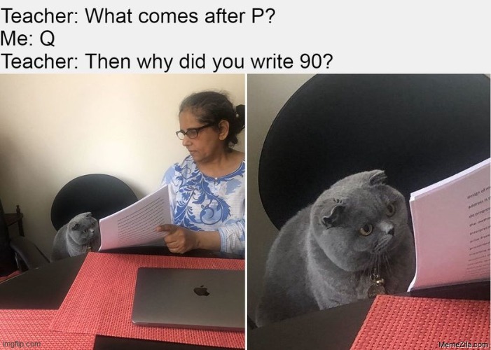wtf | image tagged in funny cat memes | made w/ Imgflip meme maker