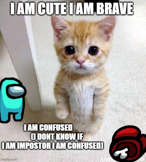 Adorable cat is confused | I AM CUTE I AM BRAVE; I AM CONFUSED             (I DONT KNOW IF I AM IMPOSTOR I AM CONFUSED) | image tagged in memes,cute cat,cats,funny,among us,animals | made w/ Imgflip meme maker