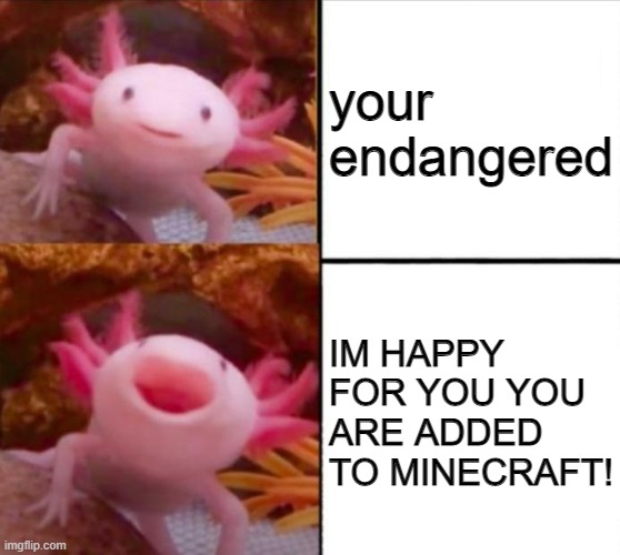 axolotl minecraft | your endangered; IM HAPPY FOR YOU YOU ARE ADDED TO MINECRAFT! | image tagged in axolotl drake | made w/ Imgflip meme maker