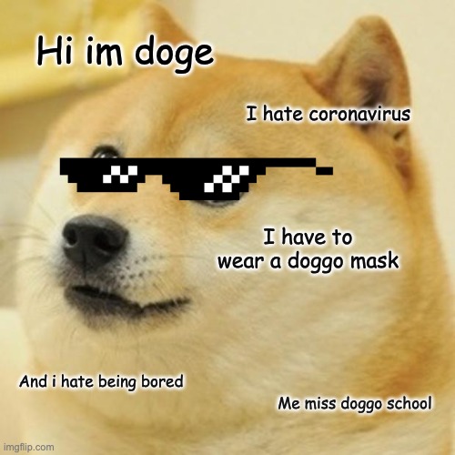 Doge Meme | Hi im doge; I hate coronavirus; I have to wear a doggo mask; And i hate being bored; Me miss doggo school | image tagged in memes,doge | made w/ Imgflip meme maker