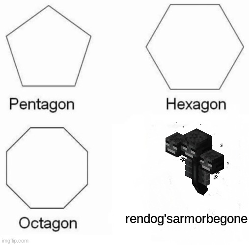 stupid wither. |  rendog'sarmorbegone | image tagged in memes,pentagon hexagon octagon | made w/ Imgflip meme maker