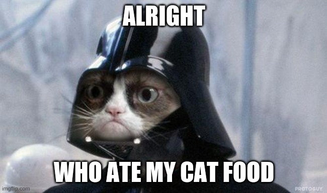 WHO DID IT | ALRIGHT; WHO ATE MY CAT FOOD | image tagged in memes,grumpy cat star wars,grumpy cat | made w/ Imgflip meme maker