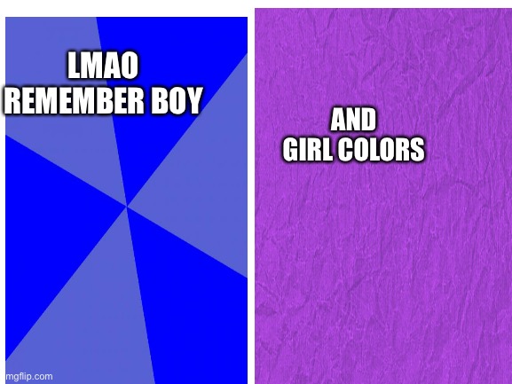 Back from elementary school when that happened XD | LMAO REMEMBER BOY; AND GIRL COLORS | made w/ Imgflip meme maker