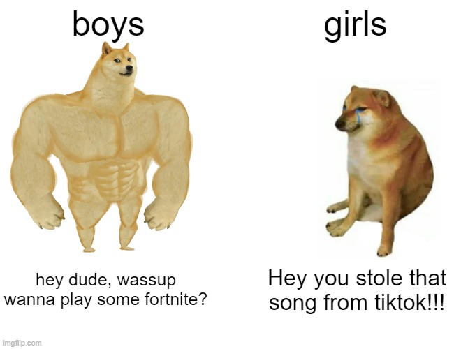 girls VS boys | boys; girls; hey dude, wassup wanna play some fortnite? Hey you stole that song from tiktok!!! | image tagged in memes,buff doge vs cheems | made w/ Imgflip meme maker