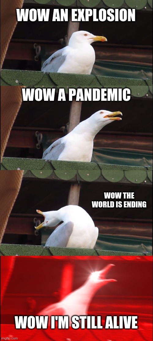 Inhaling Seagull Meme | WOW AN EXPLOSION; WOW A PANDEMIC; WOW THE WORLD IS ENDING; WOW I'M STILL ALIVE | image tagged in memes,inhaling seagull | made w/ Imgflip meme maker