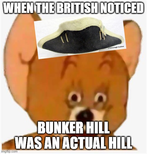Loyalist Meme (s) | WHEN THE BRITISH NOTICED; BUNKER HILL WAS AN ACTUAL HILL | image tagged in history,british,colonial | made w/ Imgflip meme maker