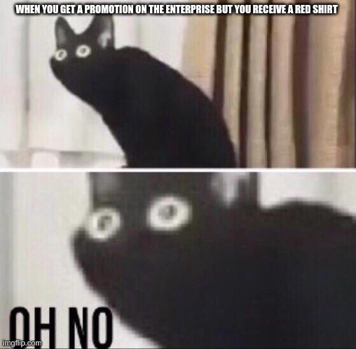 Oh no cat | WHEN YOU GET A PROMOTION ON THE ENTERPRISE BUT YOU RECEIVE A RED SHIRT | image tagged in oh no cat | made w/ Imgflip meme maker