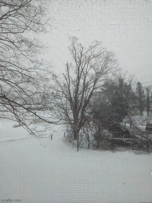 Winter view from my window today | image tagged in snow,winter | made w/ Imgflip meme maker