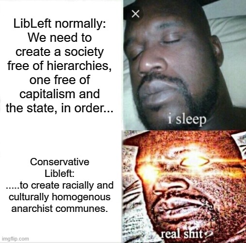 Sleeping Shaq Meme | LibLeft normally:
We need to create a society free of hierarchies, one free of capitalism and the state, in order... Conservative Libleft:
.....to create racially and culturally homogenous anarchist communes. | image tagged in memes,sleeping shaq | made w/ Imgflip meme maker