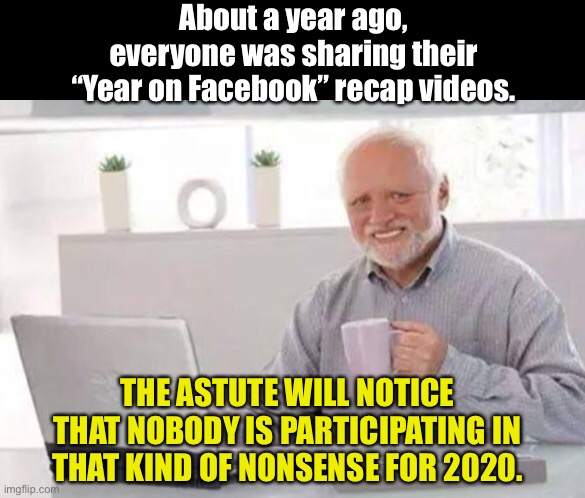 Video recap | About a year ago, everyone was sharing their “Year on Facebook” recap videos. THE ASTUTE WILL NOTICE THAT NOBODY IS PARTICIPATING IN THAT KIND OF NONSENSE FOR 2020. | image tagged in harold | made w/ Imgflip meme maker