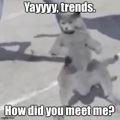 If you don't know, then don't comment. | Yayyyy, trends. How did you meet me? | image tagged in cat nae nae | made w/ Imgflip meme maker