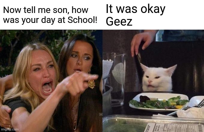 Woman Yelling At Cat Meme | Now tell me son, how was your day at School! It was okay
Geez | image tagged in memes,woman yelling at cat | made w/ Imgflip meme maker