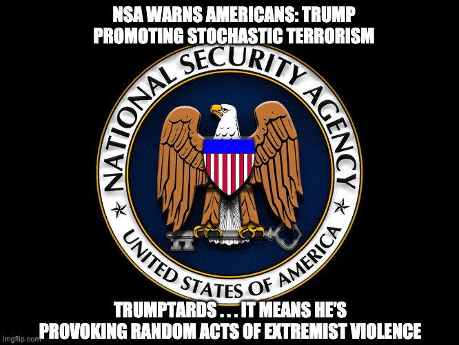 Enemies . . . foreign and "domestic" | NSA WARNS AMERICANS: TRUMP PROMOTING STOCHASTIC TERRORISM; TRUMPTARDS . . . IT MEANS HE'S PROVOKING RANDOM ACTS OF EXTREMIST VIOLENCE | image tagged in nsa,trump,loser,failure,terrorism,terrorist | made w/ Imgflip meme maker