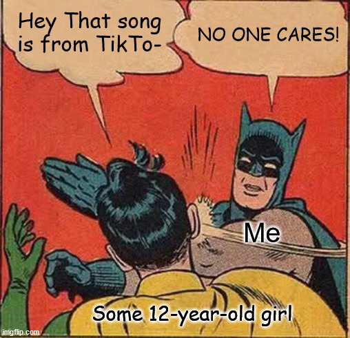 Seriously, no one cares | Hey That song is from TikTo-; NO ONE CARES! Me; Some 12-year-old girl | image tagged in memes,batman slapping robin,batman and robin | made w/ Imgflip meme maker