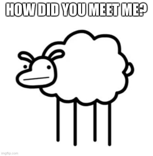 Reeeee | HOW DID YOU MEET ME? | image tagged in swiftshwwp,reeeeeeeeeeeeeeeeeeeeee | made w/ Imgflip meme maker