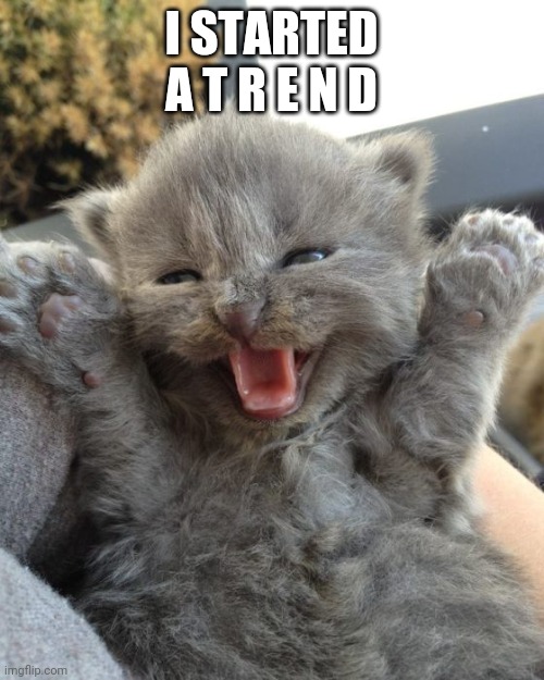 Yay Kitty | I STARTED A T R E N D | image tagged in yay kitty | made w/ Imgflip meme maker