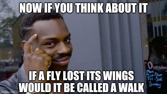Roll Safe Think About It Meme | NOW IF YOU THINK ABOUT IT; IF A FLY LOST ITS WINGS WOULD IT BE CALLED A WALK | image tagged in memes,roll safe think about it | made w/ Imgflip meme maker