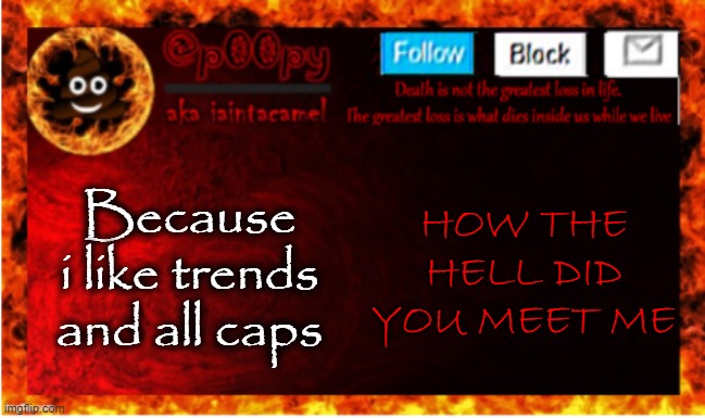 Because i like trends and all caps; HOW THE HELL DID YOU MEET ME | image tagged in iaintacamel | made w/ Imgflip meme maker