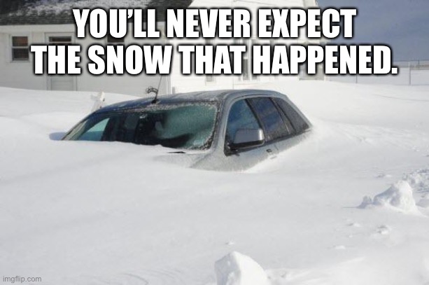 Snow storm Large | YOU’LL NEVER EXPECT THE SNOW THAT HAPPENED. | image tagged in snow storm large | made w/ Imgflip meme maker