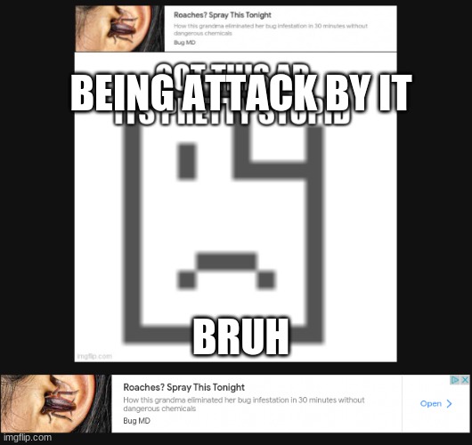 BEING ATTACK BY IT BRUH | made w/ Imgflip meme maker