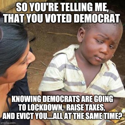 Politics and stuff | SO YOU'RE TELLING ME, THAT YOU VOTED DEMOCRAT; KNOWING DEMOCRATS ARE GOING TO LOCKDOWN,  RAISE TAXES,  AND EVICT YOU....ALL AT THE SAME TIME? | image tagged in memes,third world skeptical kid | made w/ Imgflip meme maker