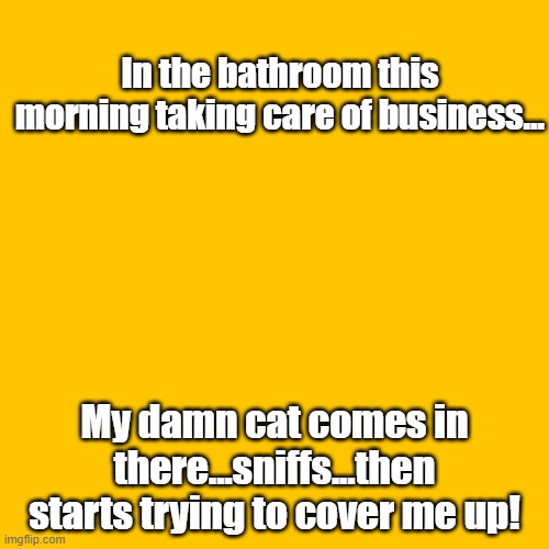 cat | In the bathroom this morning taking care of business... My damn cat comes in there...sniffs...then starts trying to cover me up! | image tagged in litter box | made w/ Imgflip meme maker