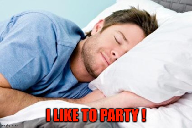 sleeping | I LIKE TO PARTY ! | image tagged in sleeping | made w/ Imgflip meme maker