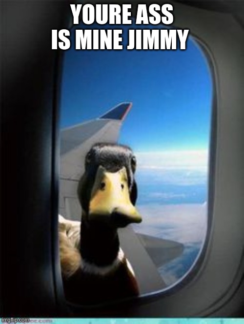 the chances of a duck trying to kill you are low but never zero |  YOURE ASS IS MINE JIMMY | image tagged in youre ass is mine jimmy | made w/ Imgflip meme maker