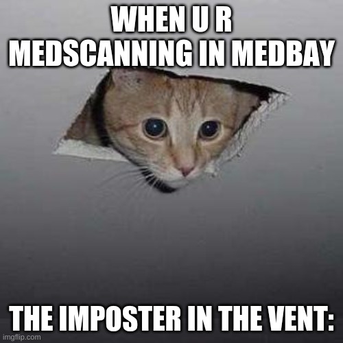 Imposter |  WHEN U R MEDSCANNING IN MEDBAY; THE IMPOSTER IN THE VENT: | image tagged in memes,ceiling cat | made w/ Imgflip meme maker