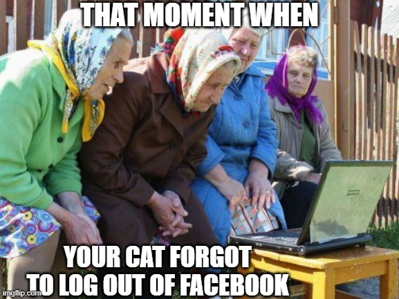 Babushkas On Facebook Meme | THAT MOMENT WHEN YOUR CAT FORGOT TO LOG OUT OF FACEBOOK | image tagged in memes,babushkas on facebook | made w/ Imgflip meme maker