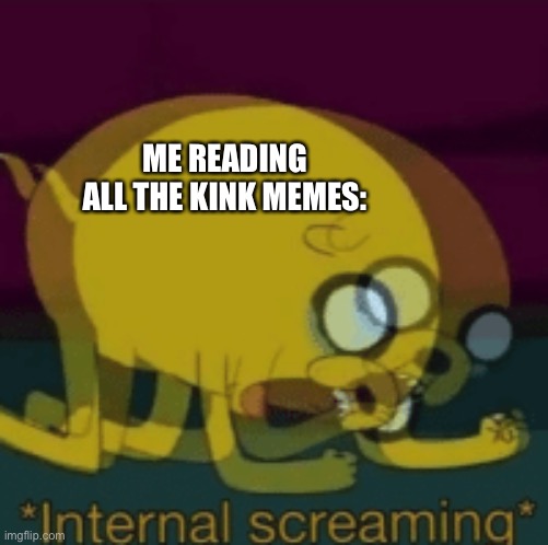 I don’t know if I like where things are going... | ME READING ALL THE KINK MEMES: | image tagged in jake the dog internal screaming | made w/ Imgflip meme maker