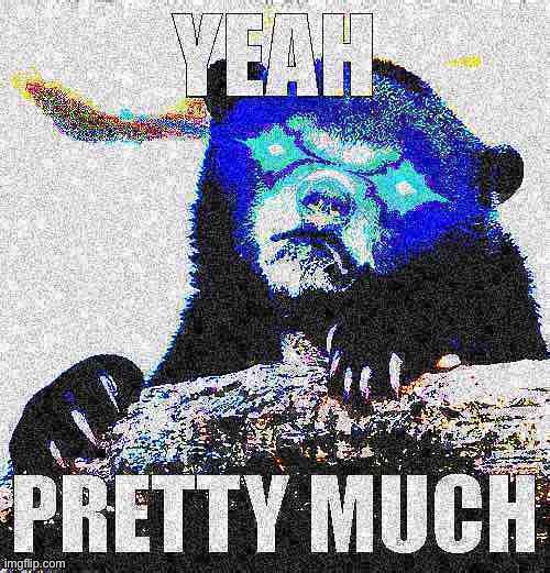 Yeah pretty much confession bear deep-fried 1 | image tagged in yeah pretty much confession bear deep-fried 1,deep fried,deep fried hell,confession bear,custom template,popular templates | made w/ Imgflip meme maker