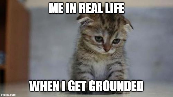 in real life | ME IN REAL LIFE; WHEN I GET GROUNDED | image tagged in sad kitten | made w/ Imgflip meme maker