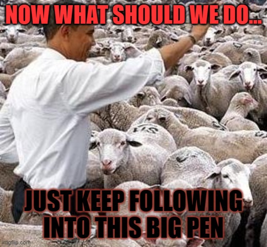 obama sheep | NOW WHAT SHOULD WE DO... JUST KEEP FOLLOWING INTO THIS BIG PEN | image tagged in obama sheep | made w/ Imgflip meme maker