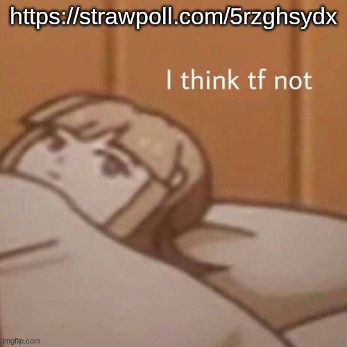 https://strawpoll.com/5rzghsydx | https://strawpoll.com/5rzghsydx | image tagged in i think tf not | made w/ Imgflip meme maker