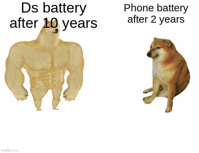 Buff Doge vs. Cheems | Ds battery after 10 years; Phone battery after 2 years | image tagged in memes,buff doge vs cheems | made w/ Imgflip meme maker